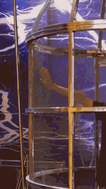 640000.gif