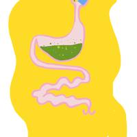 2.gif