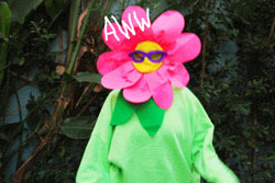 giphy1.jpg