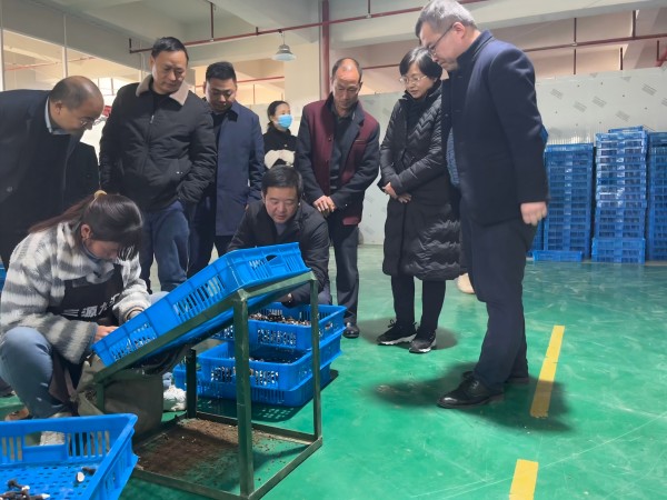 微信图片_20241218124441(1).jpg