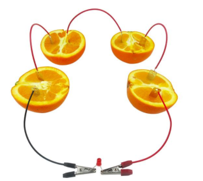 8.水果电池 (6-12周岁)